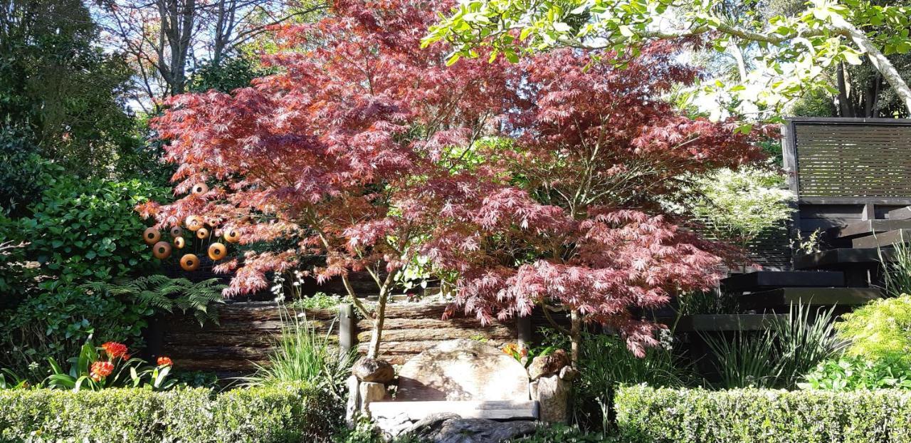 Sequoia Steps Bed & Breakfast New Plymouth Dış mekan fotoğraf