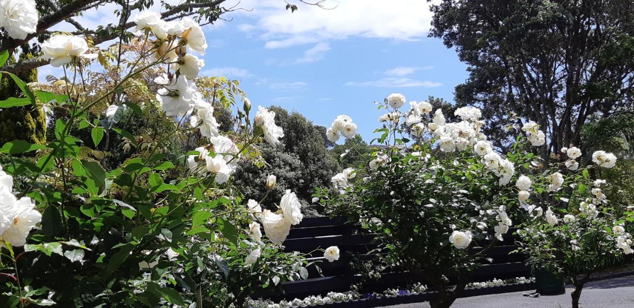 Sequoia Steps Bed & Breakfast New Plymouth Dış mekan fotoğraf